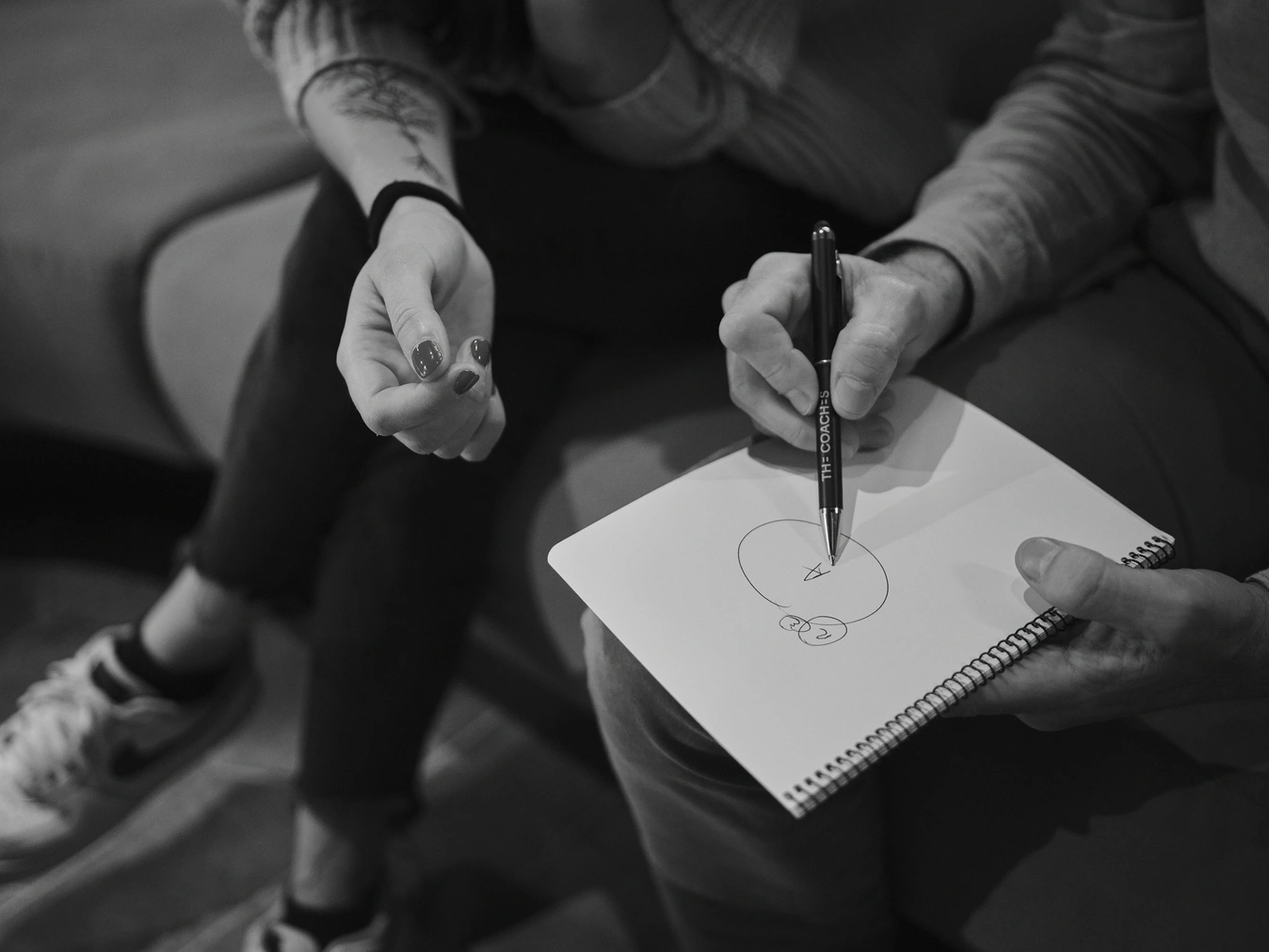 The Coaches | Lo Siento Studio