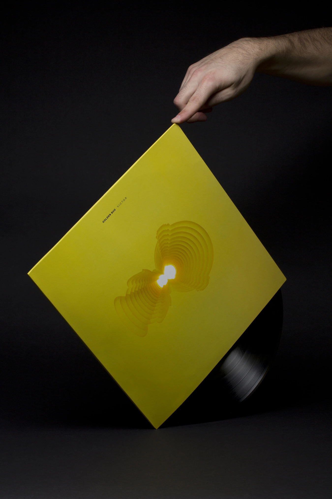 Golden Bug | Lo Siento Studio