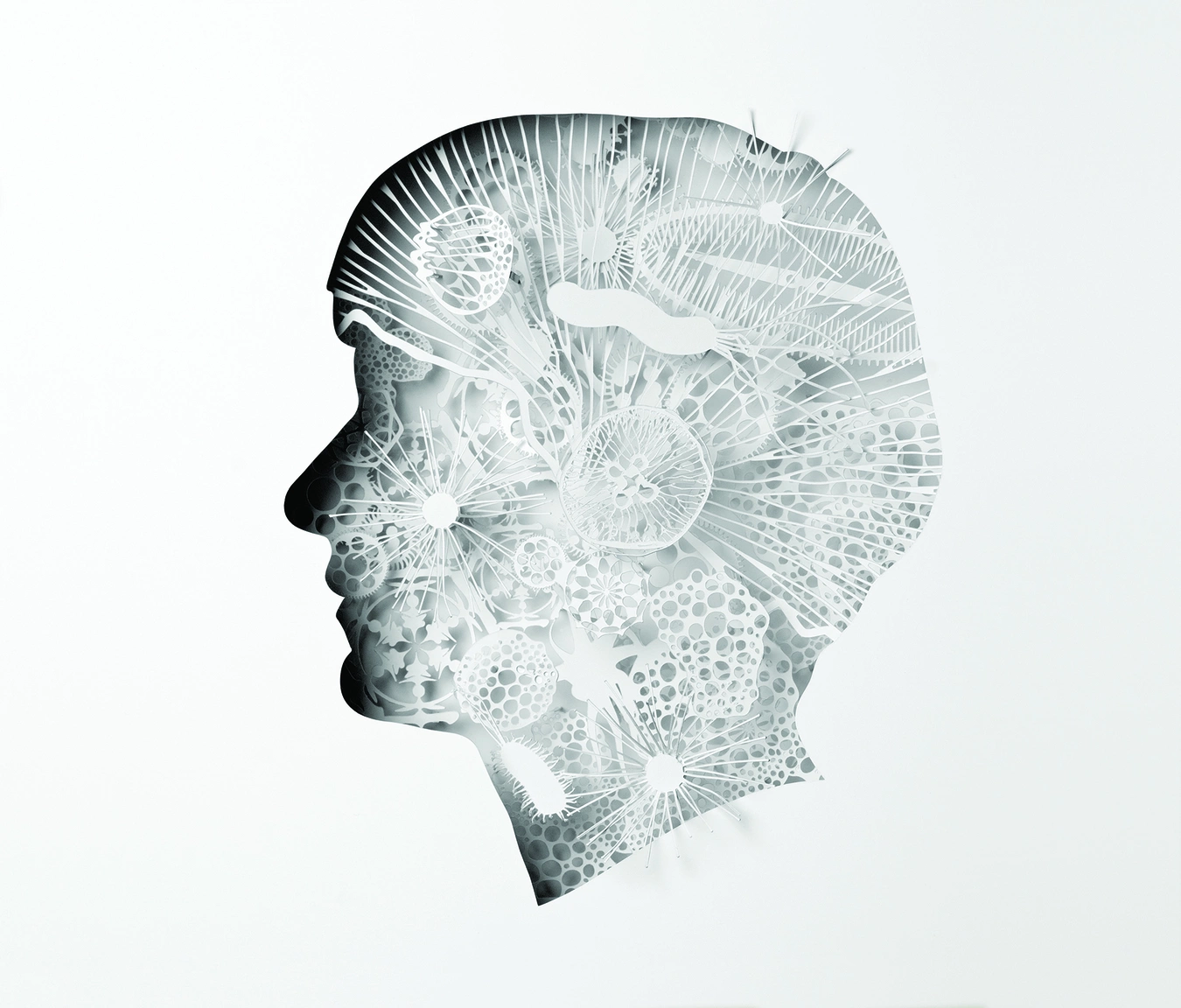 Joan Colomo | Lo Siento Studio