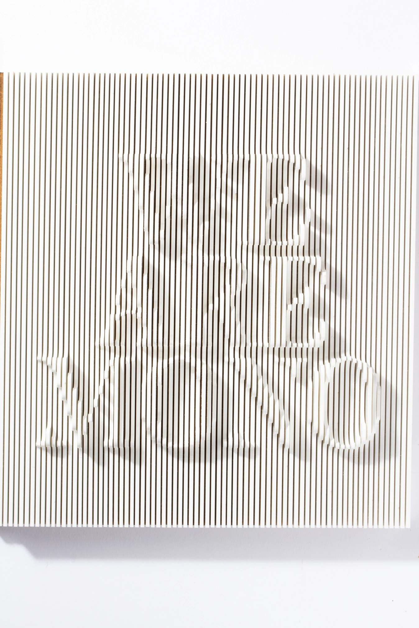 WAM Fantástico | Lo Siento Studio